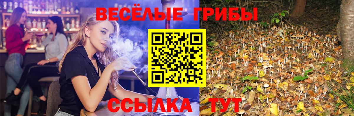 Псилоцибиновые грибы мицелий  Псилоцибиновые грибы ЛСД  Вход с VPN  Северобайкальск 