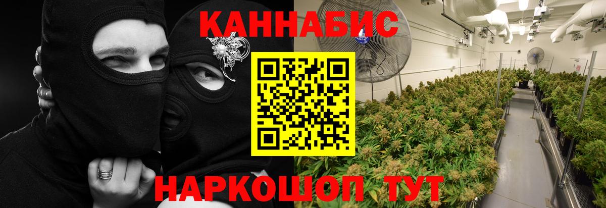 Канабис семена Северобайкальск